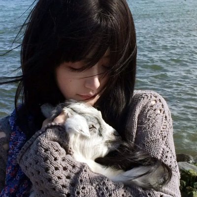 模犯生